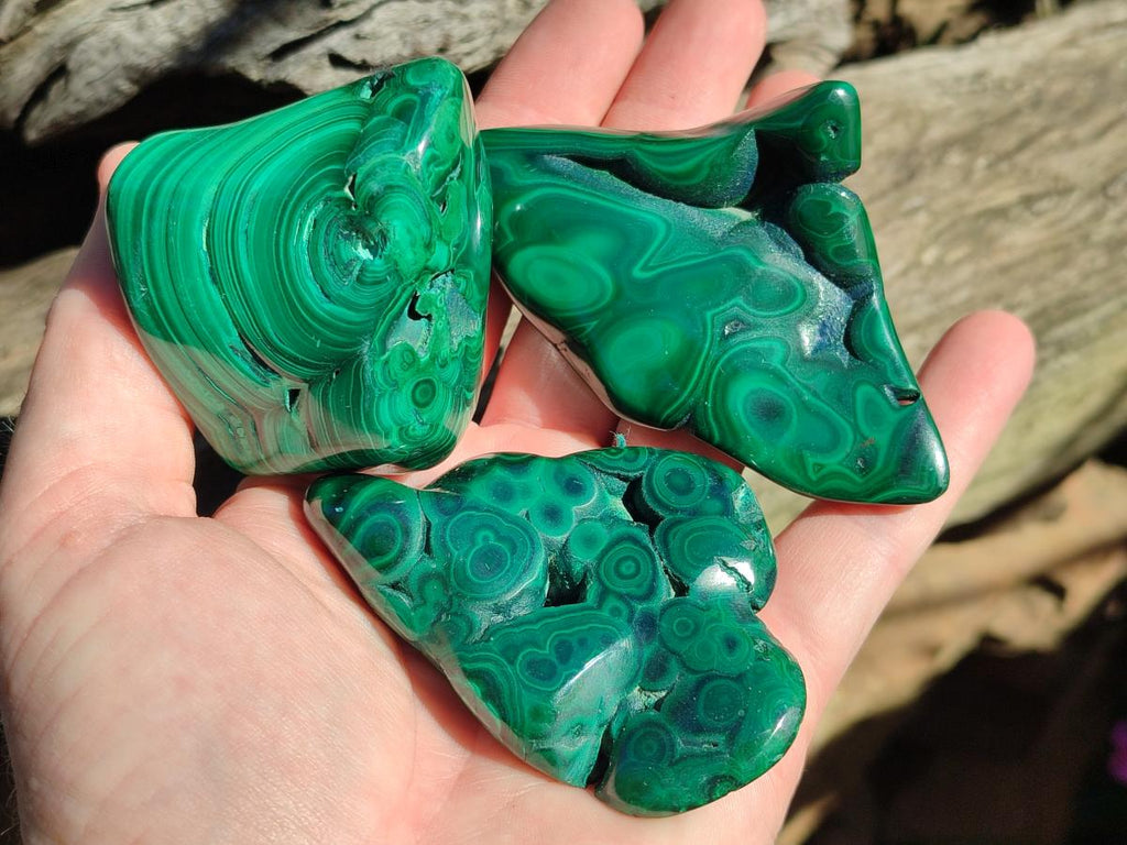 Polished Flower Banded Malachite Free Forms x 12 From Congo
