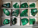 Polished Flower Banded Malachite Free Forms x 12 From Congo