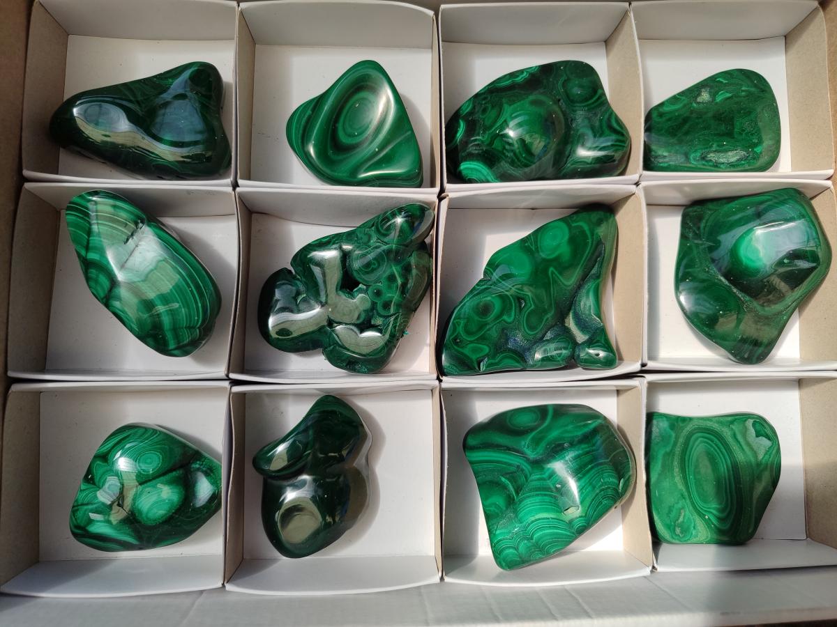 Polished Flower Banded Malachite Free Forms x 12 From Congo