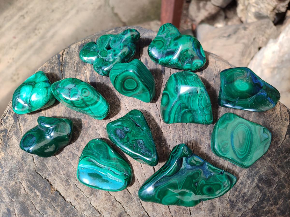 Polished Flower Banded Malachite Free Forms x 12 From Congo