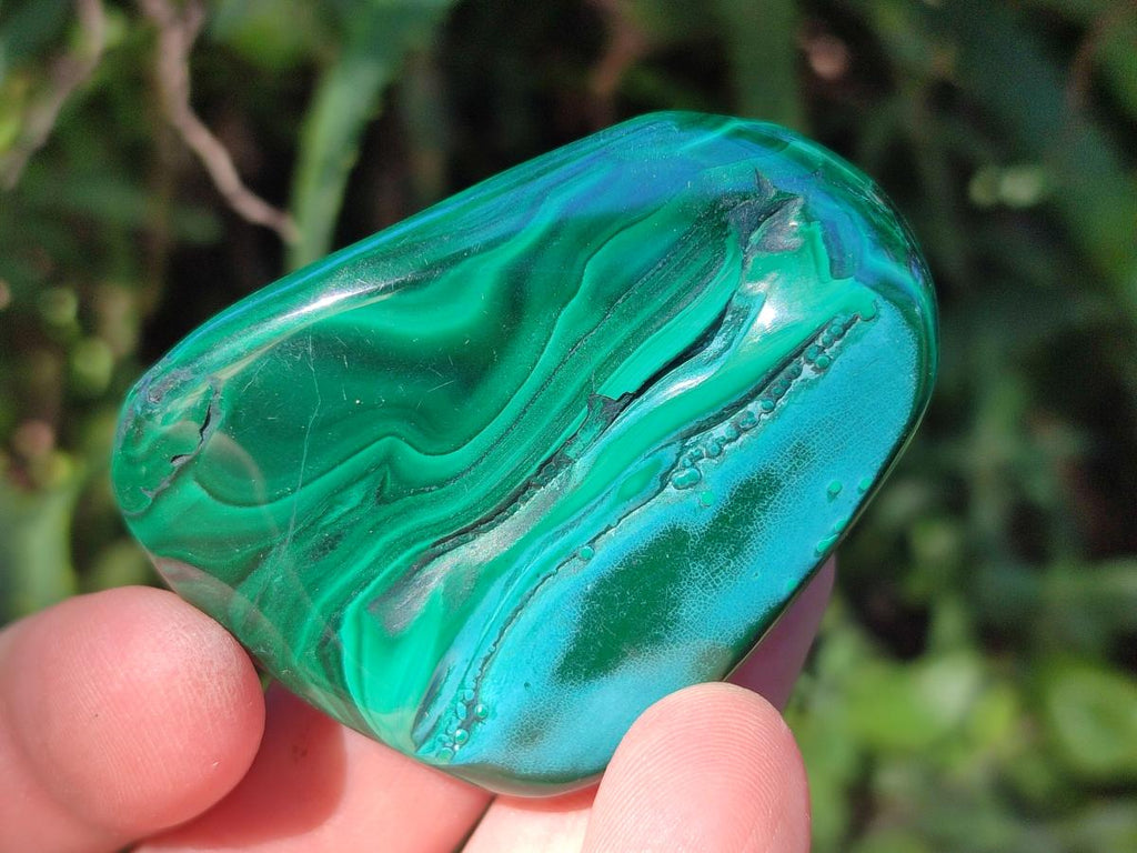 Polished Flower Banded Malachite Free Forms x 12 From Congo