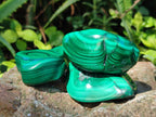 Polished Flower Banded Malachite Free Forms x 12 From Congo