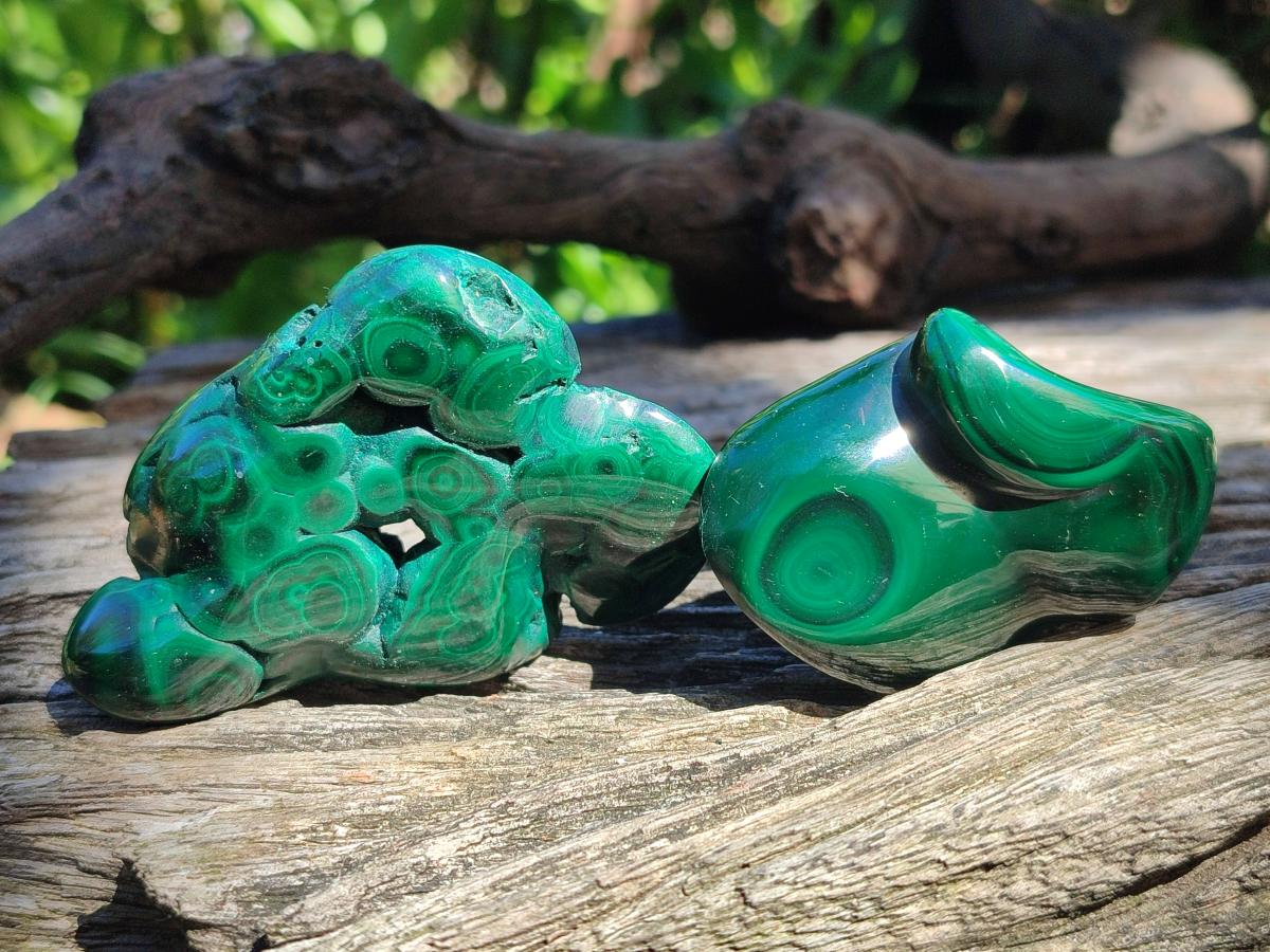 Polished Flower Banded Malachite Free Forms x 12 From Congo