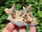 Natural Spearhead Calcite Cluster Specimens x 12 From Albert's Mountain, Lesotho
