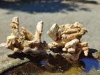Natural Spearhead Calcite Cluster Specimens x 12 From Albert's Mountain, Lesotho