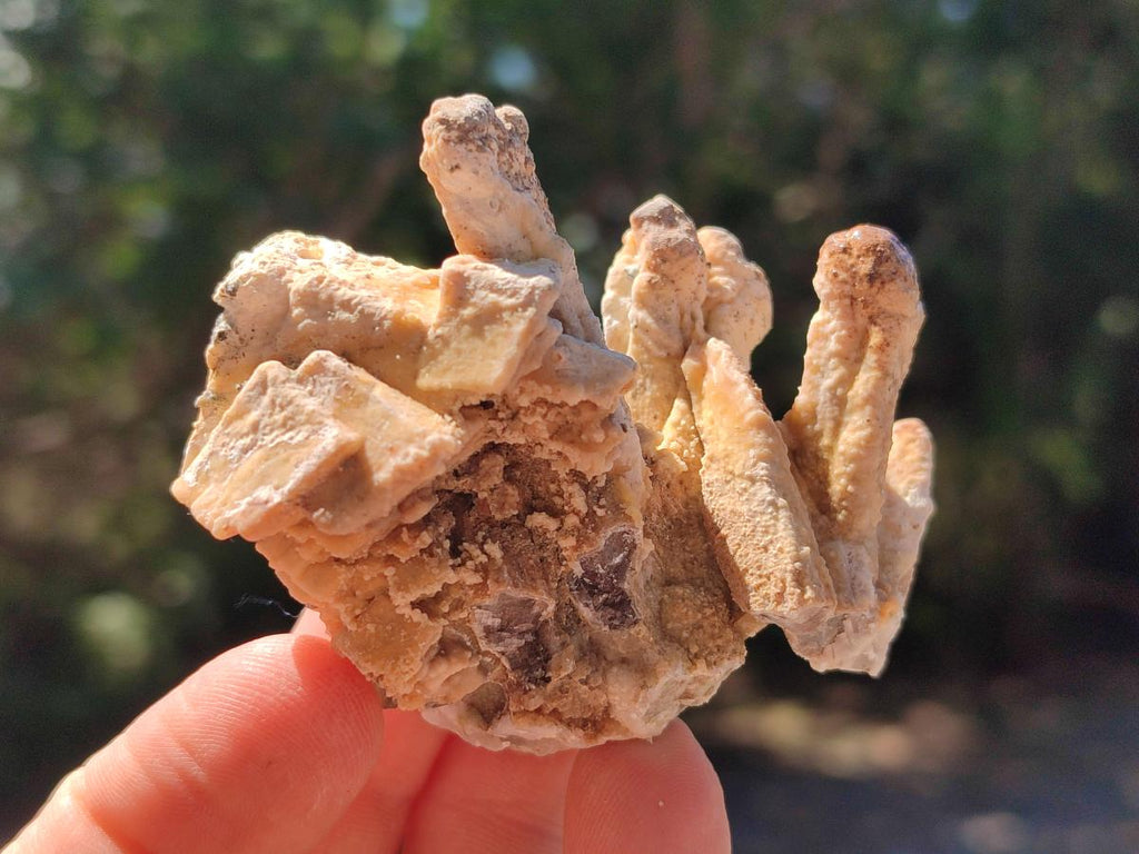 Natural Spearhead Calcite Cluster Specimens x 12 From Albert's Mountain, Lesotho