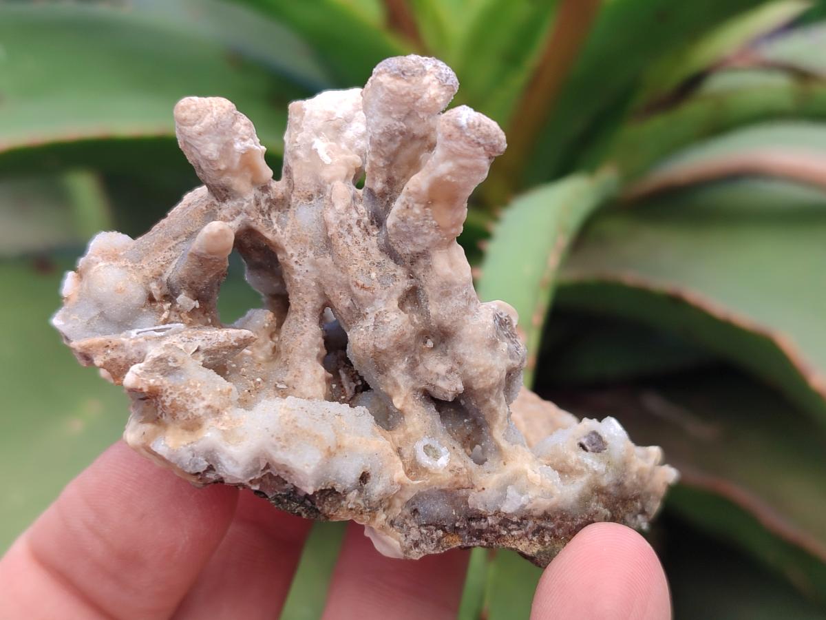 Natural Spearhead Calcite Cluster Specimens x 12 From Albert's Mountain, Lesotho