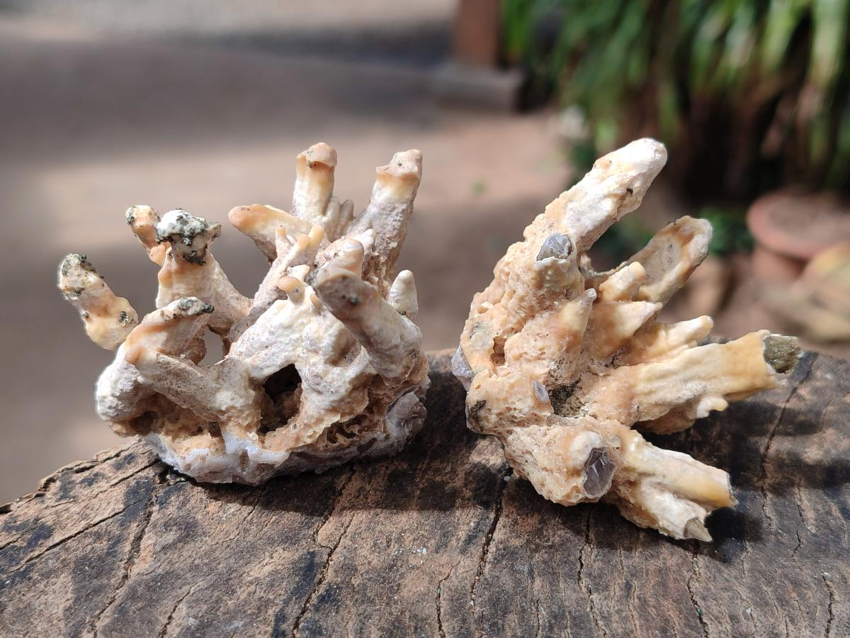 Natural Spearhead Calcite Cluster Specimens x 12 From Albert's Mountain, Lesotho