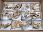 Natural Spearhead Calcite Cluster Specimens x 12 From Albert's Mountain, Lesotho