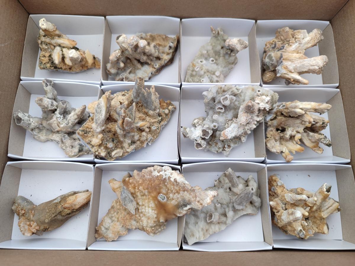 Natural Spearhead Calcite Cluster Specimens x 12 From Albert's Mountain, Lesotho