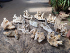 Natural Spearhead Calcite Cluster Specimens x 12 From Albert's Mountain, Lesotho