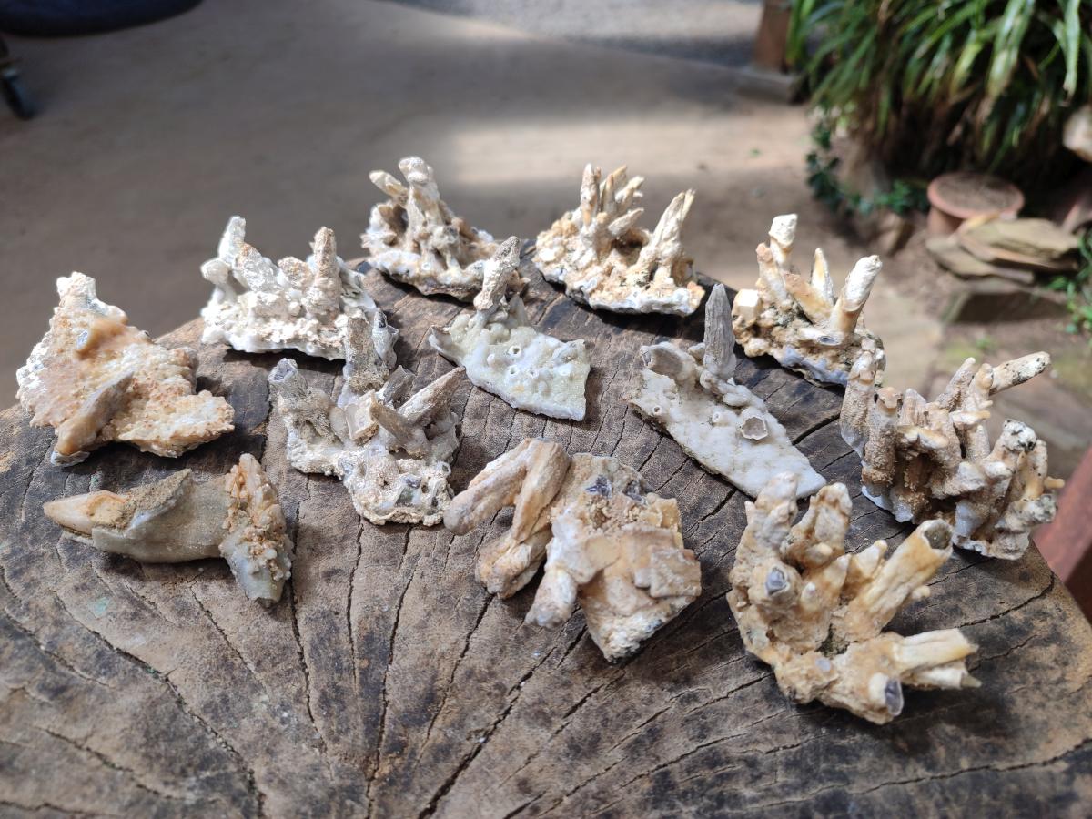 Natural Spearhead Calcite Cluster Specimens x 12 From Albert's Mountain, Lesotho