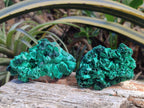 Natural Silky Malachite Specimens x 6 From Kasompe, Congo