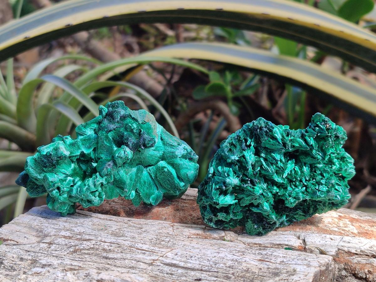 Natural Silky Malachite Specimens x 6 From Kasompe, Congo