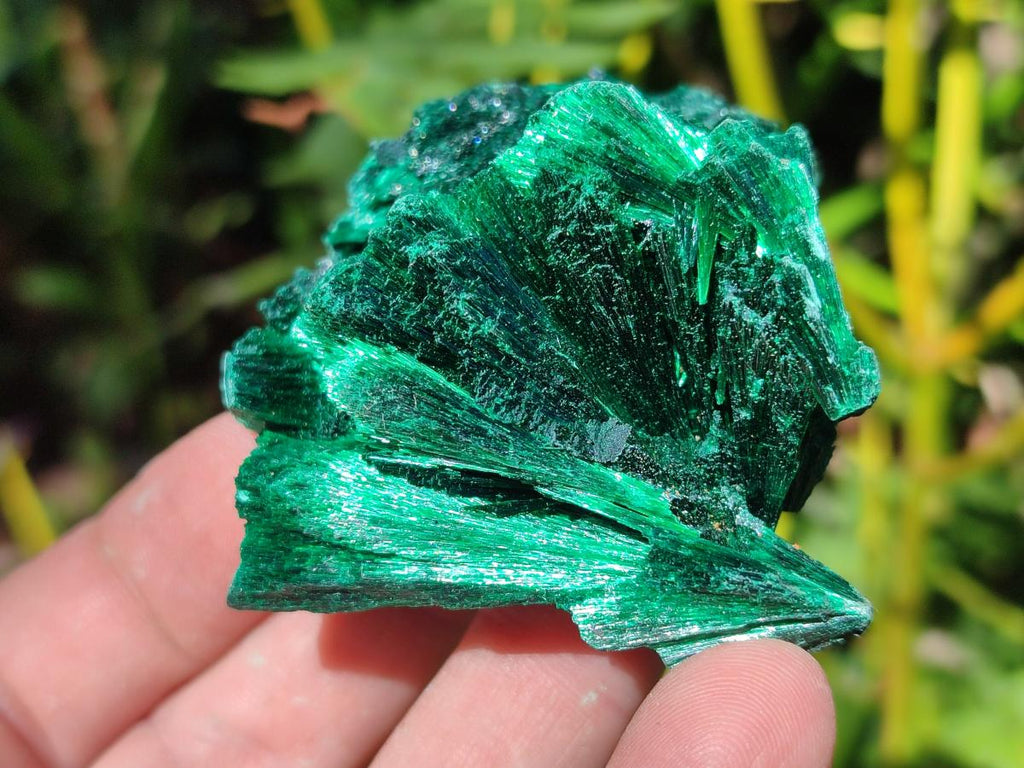 Natural Silky Malachite Specimens x 6 From Kasompe, Congo