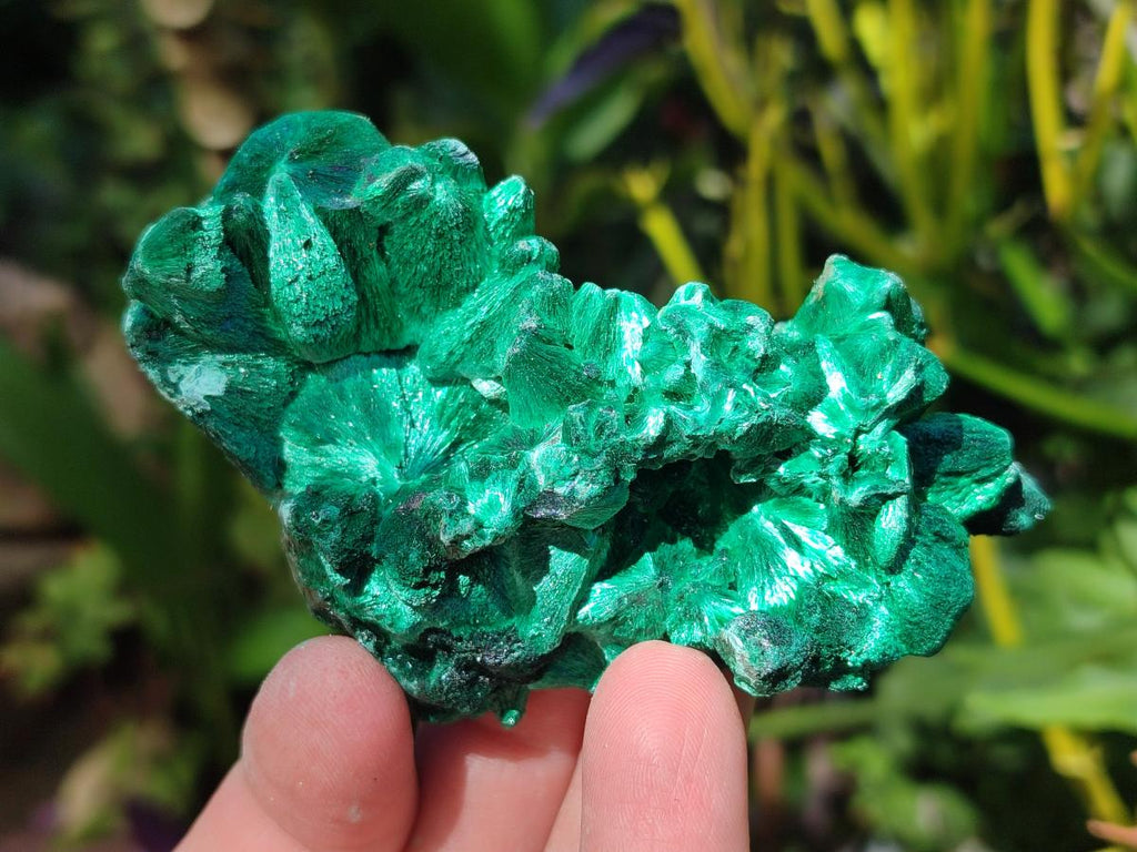 Natural Silky Malachite Specimens x 6 From Kasompe, Congo
