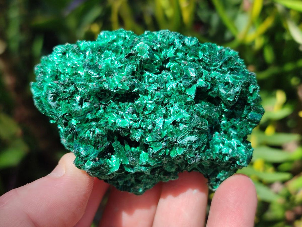 Natural Silky Malachite Specimens x 6 From Kasompe, Congo