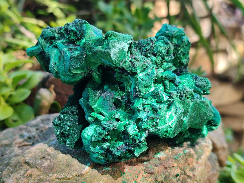 Natural Silky Malachite Specimens x 6 From Kasompe, Congo