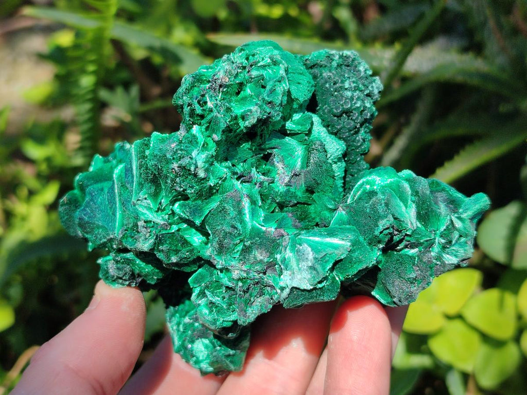 Natural Silky Malachite Specimens x 6 From Kasompe, Congo