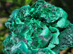 Natural Silky Malachite Specimens x 6 From Kasompe, Congo