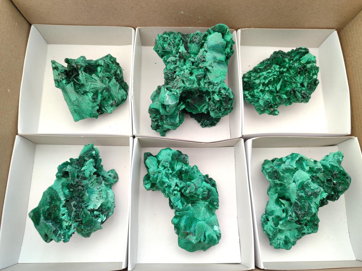 Natural Silky Malachite Specimens x 6 From Kasompe, Congo