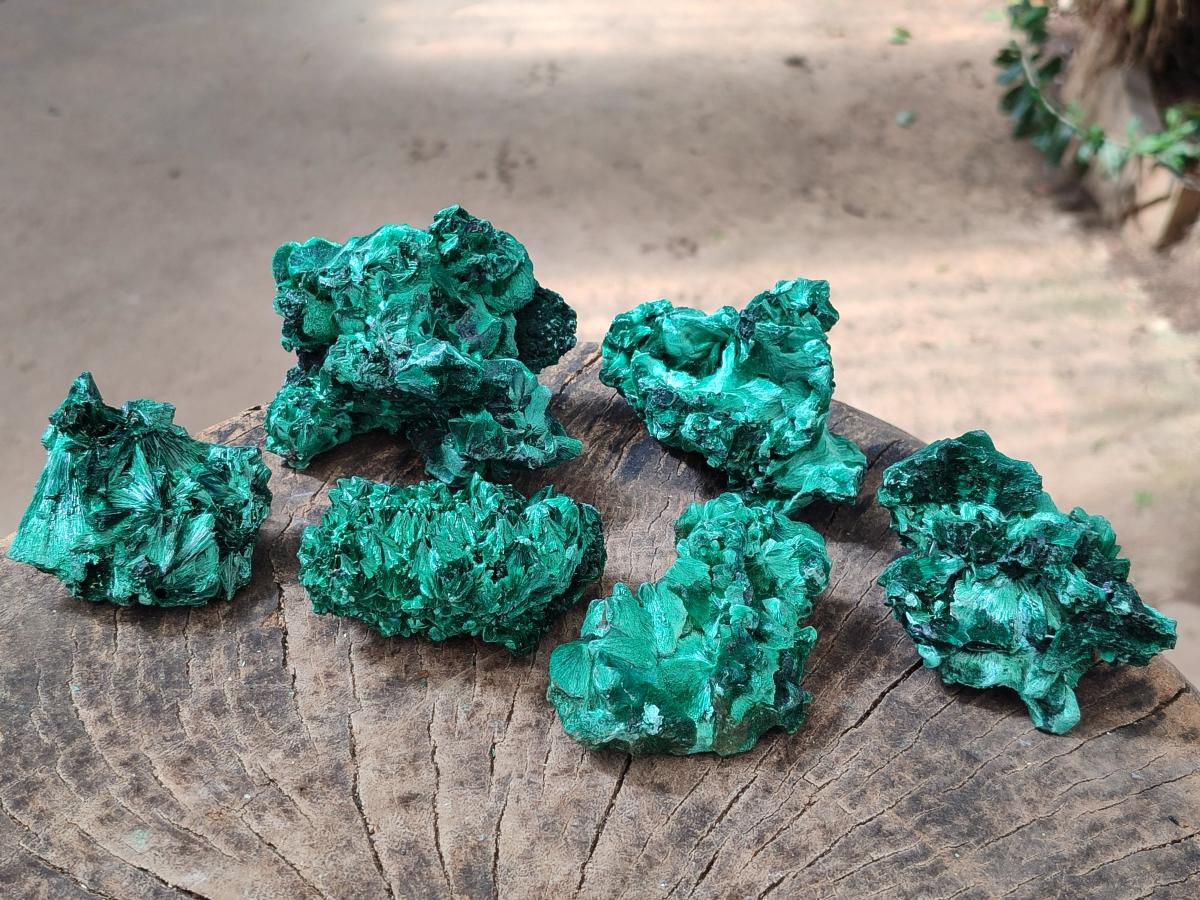 Natural Silky Malachite Specimens x 6 From Kasompe, Congo