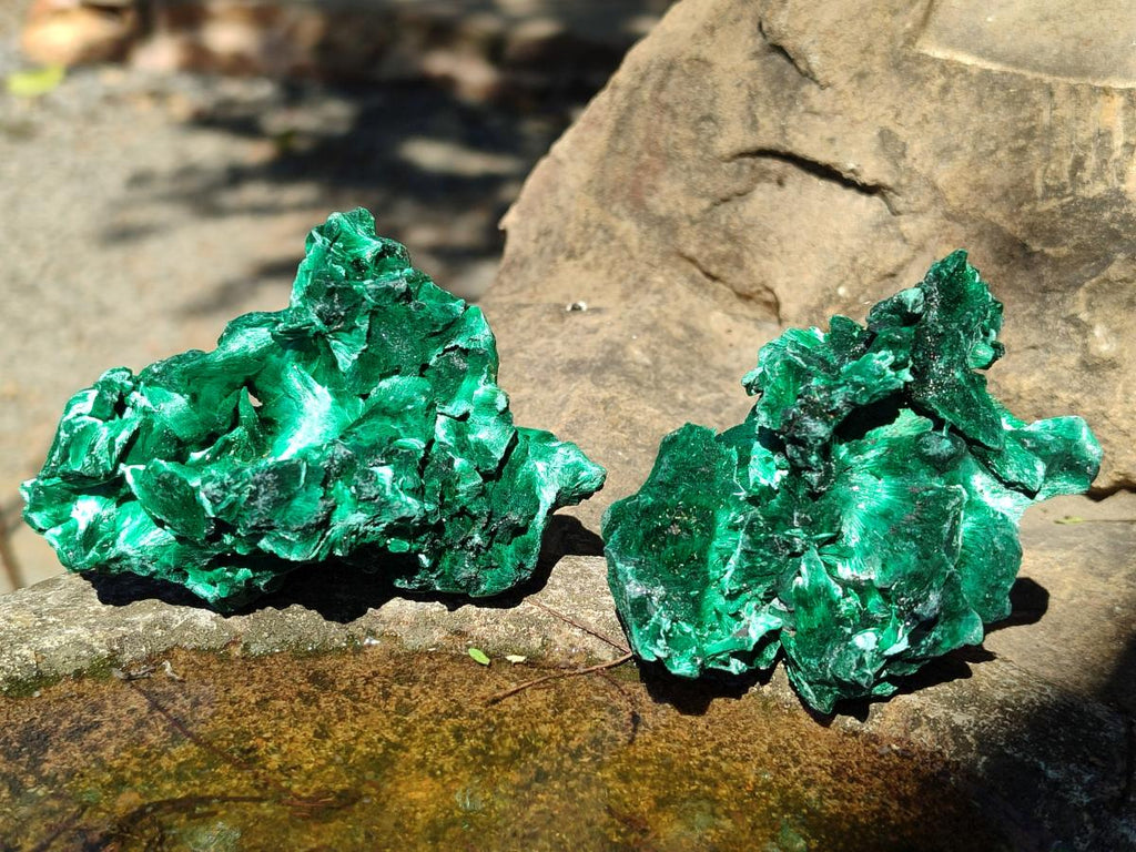 Natural Silky Malachite Specimens x 6 From Kasompe, Congo