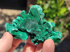 Natural Silky Malachite Specimens x 6 From Kasompe, Congo