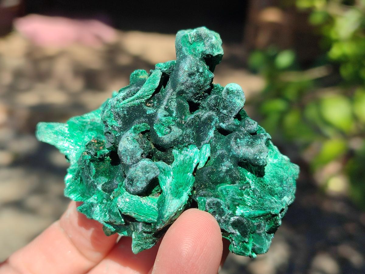Natural Silky Malachite Specimens x 6 From Kasompe, Congo
