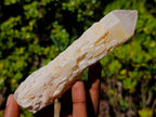 Natural Cascading "Anananas" Candle Quartz Crystals x 12 From Antsirabe, Madagascar