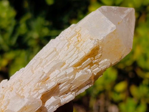 Natural Cascading "Anananas" Candle Quartz Crystals x 12 From Antsirabe, Madagascar - Toprock Gemstones and Minerals 