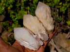 Natural Cascading "Anananas" Candle Quartz Crystals x 12 From Antsirabe, Madagascar