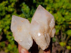 Natural Cascading "Anananas" Candle Quartz Crystals x 12 From Antsirabe, Madagascar