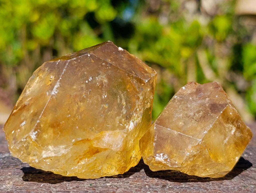 Natural Citrine Quartz Crystals x 51 From Luena, Congo