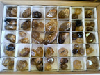 Natural Citrine Quartz Crystals x 51 From Luena, Congo