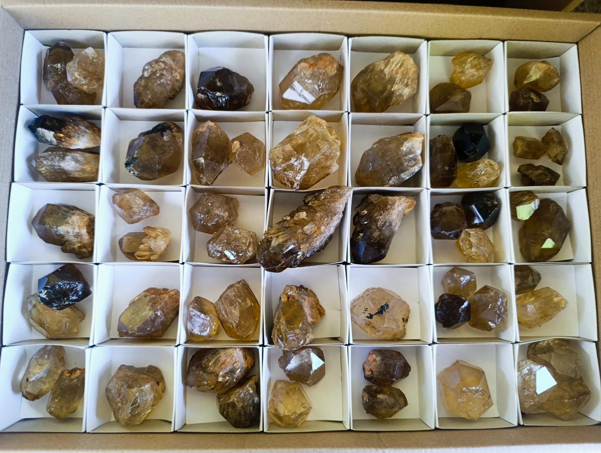 Natural Citrine Quartz Crystals x 51 From Luena, Congo