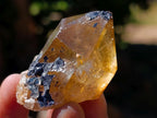 Natural Citrine Quartz Crystals x 51 From Luena, Congo