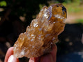 Natural Citrine Quartz Crystals x 51 From Luena, Congo