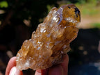 Natural Citrine Quartz Crystals x 51 From Luena, Congo
