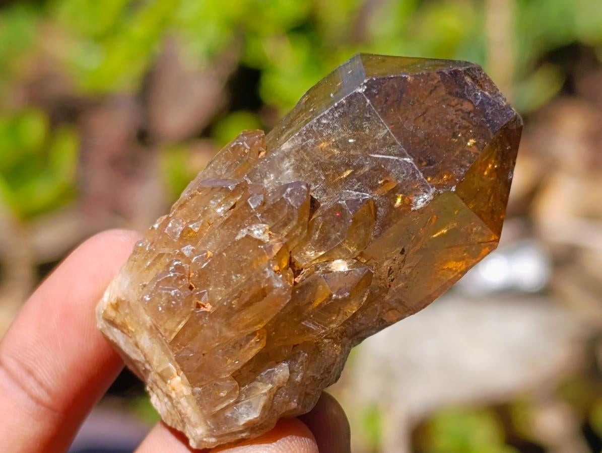 Natural Citrine Quartz Crystals x 51 From Luena, Congo