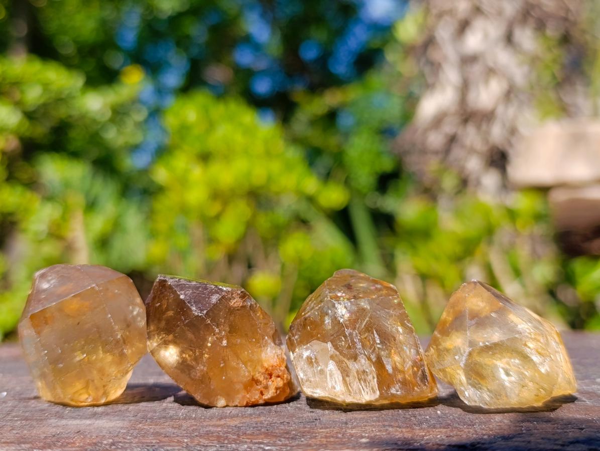 Natural Citrine Quartz Crystals x 51 From Luena, Congo