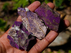 Natural Metallic Cobbed Purpurite Specimens x 35 From Erongo, Namibia