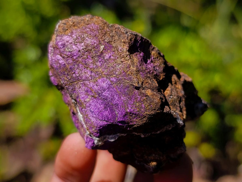 Natural Metallic Cobbed Purpurite Specimens x 35 From Erongo, Namibia