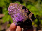 Natural Metallic Cobbed Purpurite Specimens x 35 From Erongo, Namibia