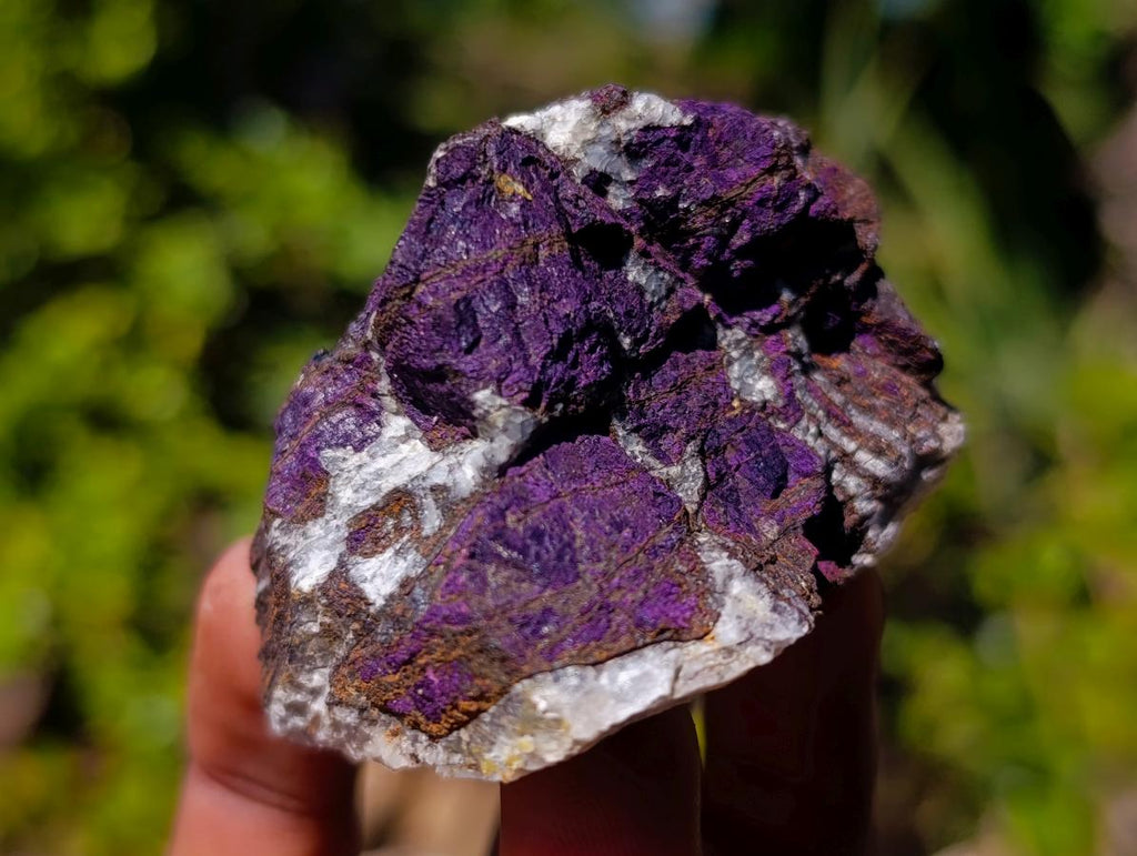 Natural Metallic Cobbed Purpurite Specimens x 35 From Erongo, Namibia