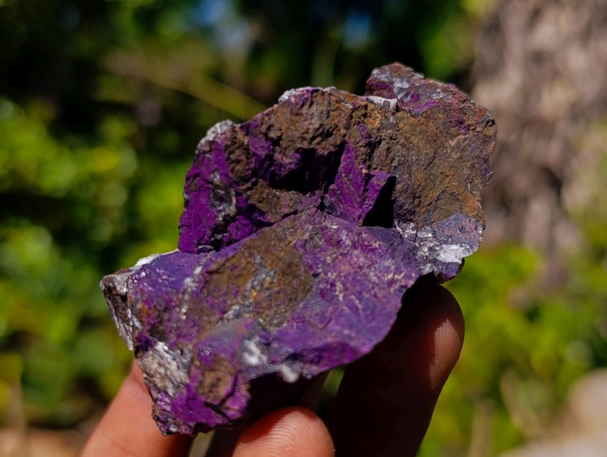 Natural Metallic Cobbed Purpurite Specimens x 35 From Erongo, Namibia