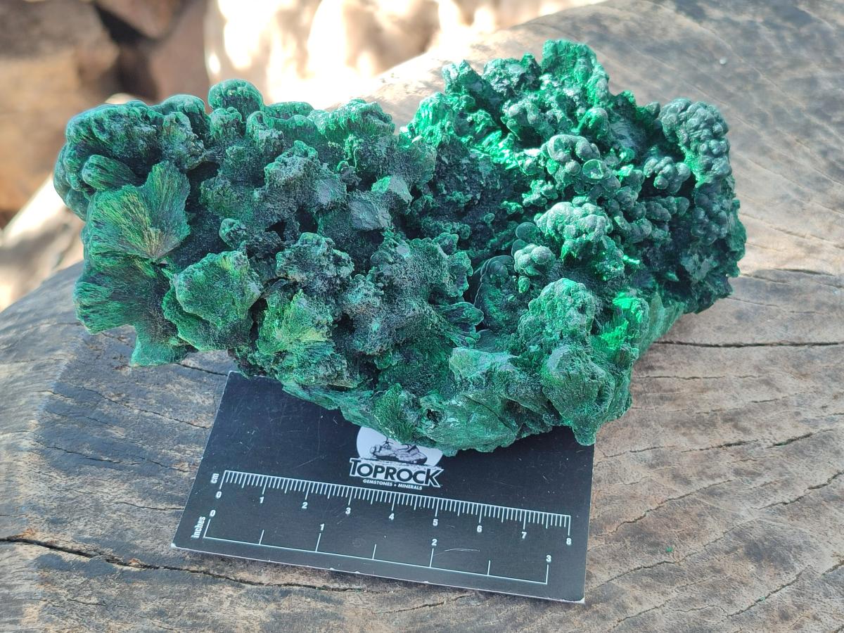 Natural Large Cabinet Size Silky Malachite Specimens x 2 From Kasompe, Congo