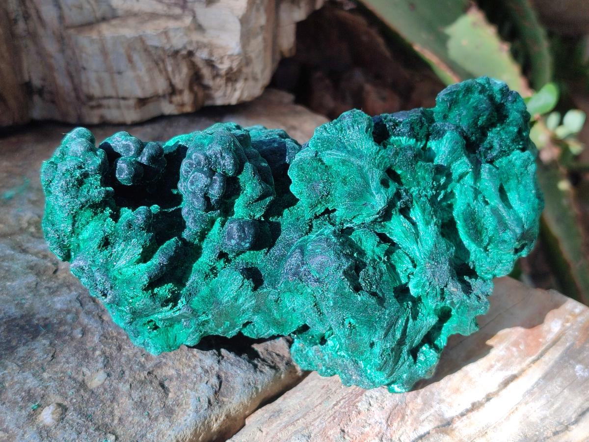 Natural Large Cabinet Size Silky Malachite Specimens x 2 From Kasompe, Congo