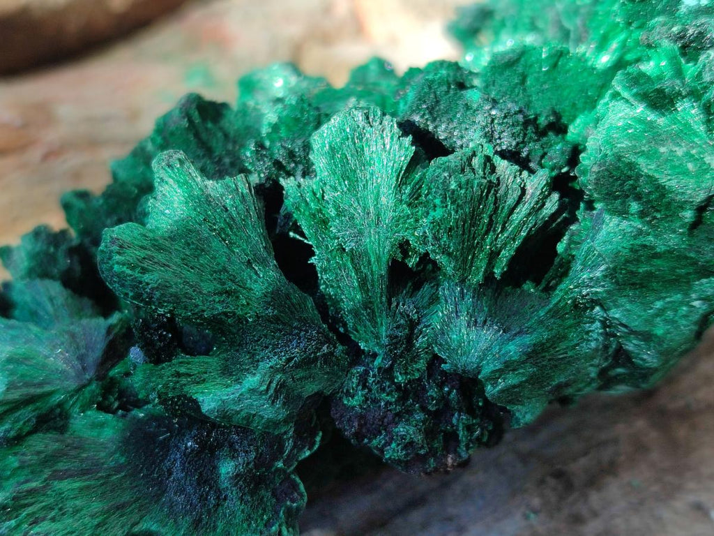 Natural Large Cabinet Size Silky Malachite Specimens x 2 From Kasompe, Congo