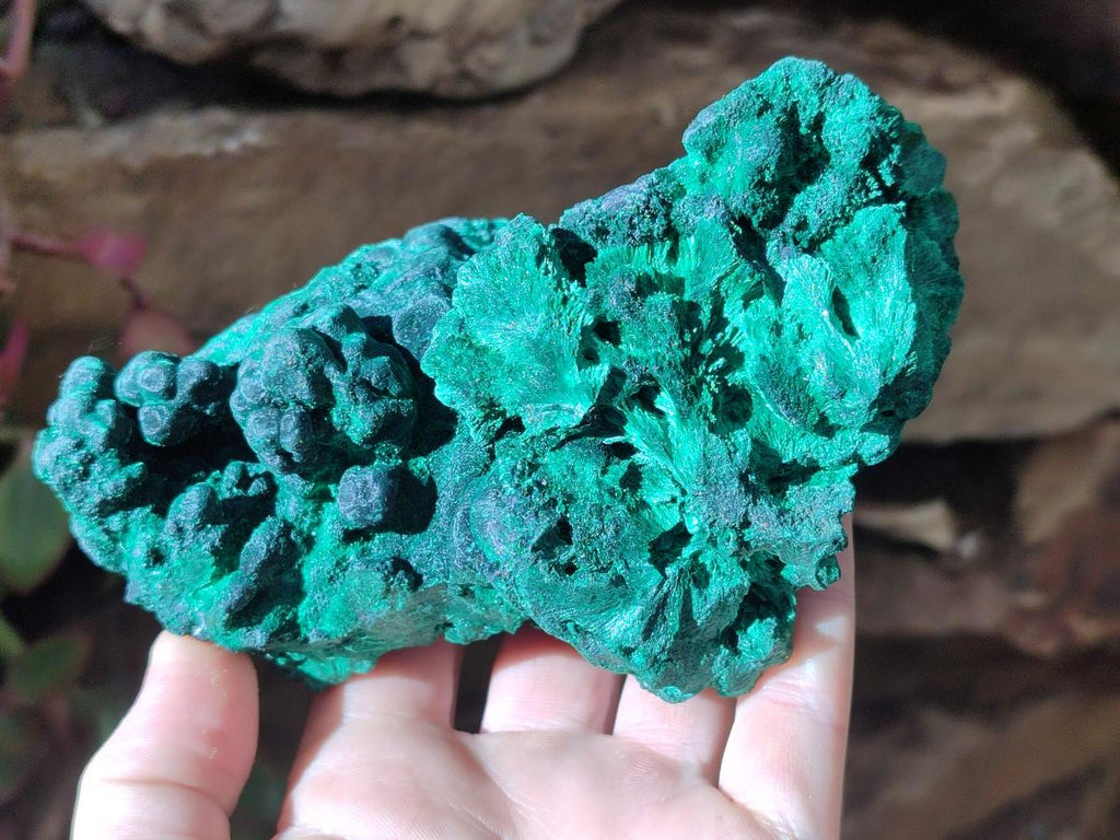 Natural Large Cabinet Size Silky Malachite Specimens x 2 From Kasompe, Congo